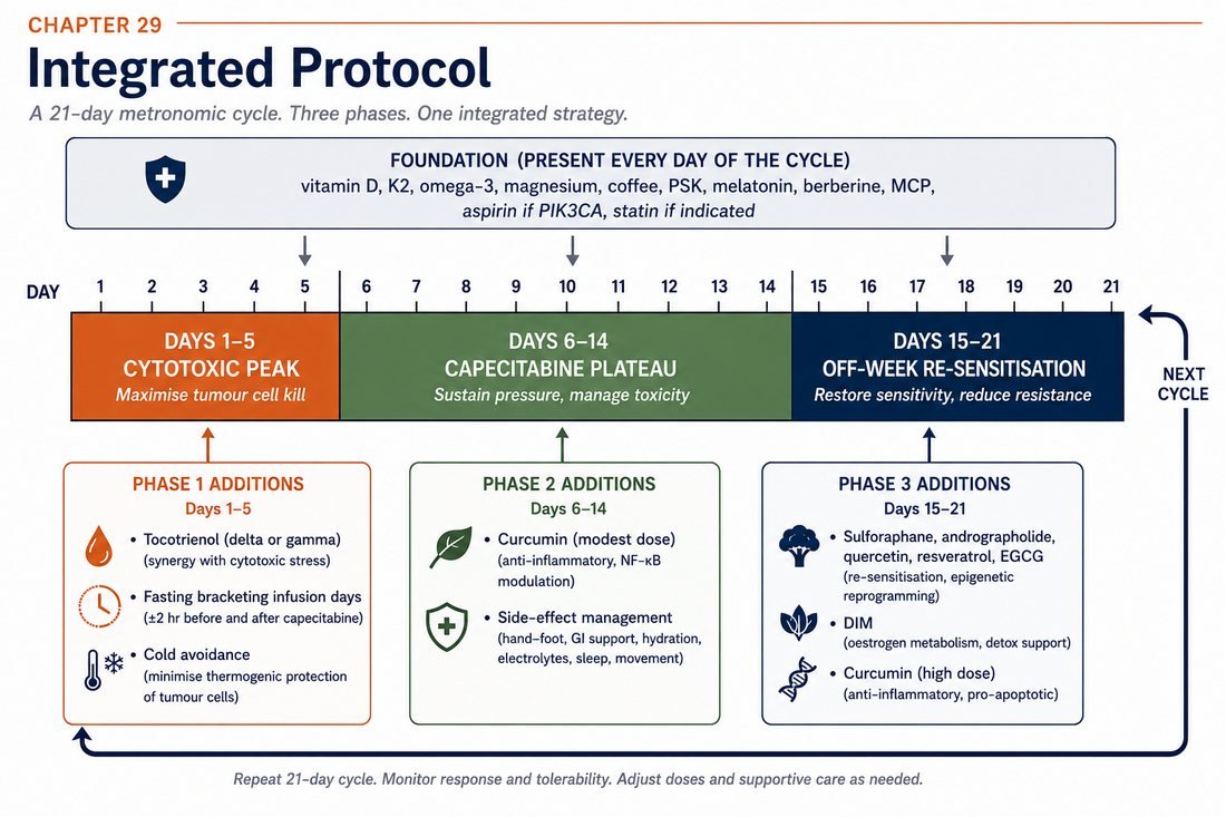 The 21-day integrated protocol: a continuous foundation of supplements across the whole cycle, with three phase-specific layers for days 1 to 5, 6 to 14, and 15 to 21.