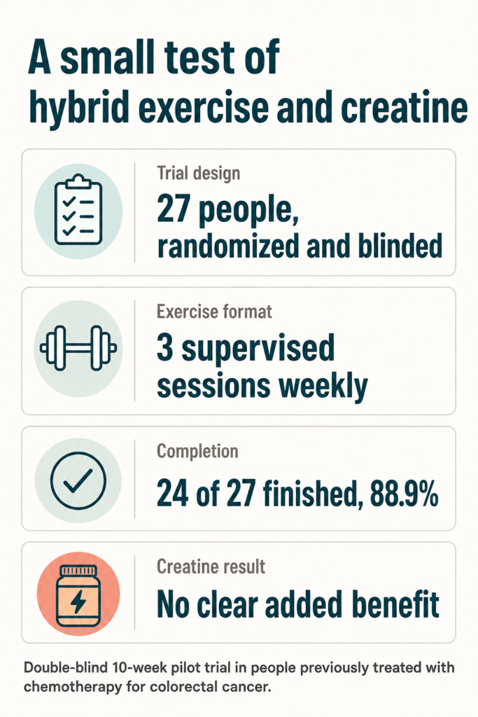 Infographic summarising the study. A small test of hybrid exercise and creatine. Trial design: 27 people, randomized and blinded. Exercise format: 3 supervised sessions weekly. Completion: 24 of 27 finished, 88.9%. Creatine result: No clear added benefit. Double-blind 10-week pilot trial in people previously treated with chemotherapy for colorectal cancer.